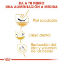 Royal Canin-Shih Tzu Adulto (1)