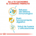 Royal Canin-Pastor Aleman Cachorro (1)
