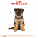 Royal Canin-Pastor Aleman Cachorro (1)