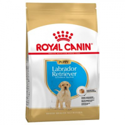 Royal Canin-Labrador Retriever Cachorro (1)