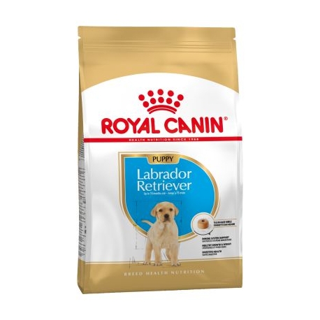 Royal Canin-Labrador Retriever Cachorro (1)