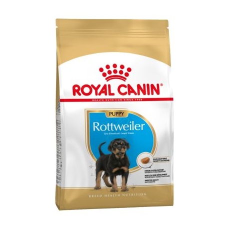 Rottweiler Cachorro (1)