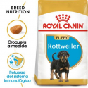 Rottweiler Cachorro (1)