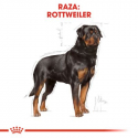 Royal Canin-Rottweiler Adulto (1)
