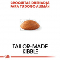 Royal Canin-Gran Danés Adulto (1)
