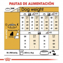 Royal Canin-Yorkshire Terrier Adulto (1)