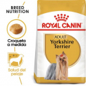 Royal Canin-Yorkshire Terrier Adulto (1)
