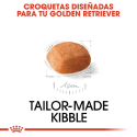 Royal Canin-Golden Retriever Cachorro (1)