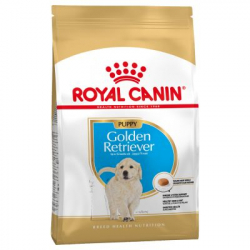 Royal Canin-Golden Retriever Cachorro (1)