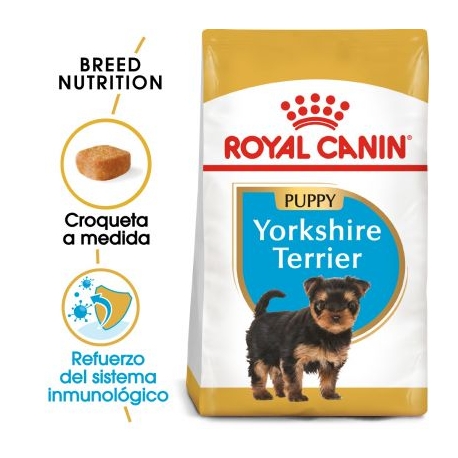 Yorkshire Terrier Cachorro (1)