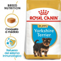 Yorkshire Terrier Cachorro (1)