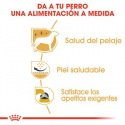 Royal Canin-West Highland White Terrier Adulto (1)