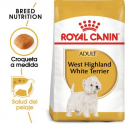 Royal Canin-West Highland White Terrier Adulto (1)