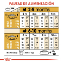 Royal Canin-Shih Tzu Cachorro (1)