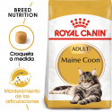 Royal Canin-Maine Coon Adult (1)