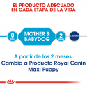 Royal Canin-Maxi Starter Mother&Babydog (1)