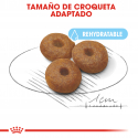 Royal Canin-Maxi Starter Mother&Babydog (1)