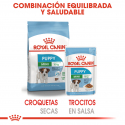 Royal Canin-Mini Puppy (Sobre) (1)