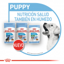 Royal Canin-Mini Puppy (Sobre) (1)