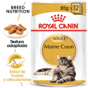 Royal Canin-Maine Coon Pouch (1)