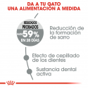 Royal Canin-Oral Care (1)