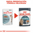Royal Canin-Hairball Care Húmedo 85 gr. (1)