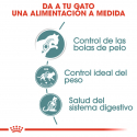 Royal Canin-Hairball Care Húmedo 85 gr. (1)