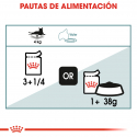 Royal Canin-Hairball Care Húmedo 85 gr. (1)
