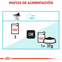 Royal Canin-Urinary Care Pouch 85 gr (1)