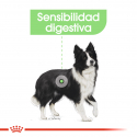 Medium Digestive Care (1)