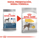 Royal Canin-Maxi Dermacomfort Razas Grandes (1)