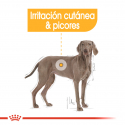 Royal Canin-Maxi Dermacomfort Razas Grandes (1)