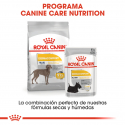 Royal Canin-Maxi Dermacomfort Razas Grandes (1)