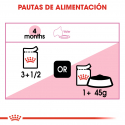 Royal Canin-Kitten Instinctive Pouch ( Jelly ) 85gr. (1)