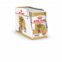 Royal Canin-Yorkshire Pouch 85 gr (1)