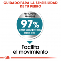 Royal Canin-Maxi Joint Care (1)