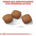 Royal Canin-Maxi Joint Care (1)