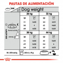 Royal Canin-Maxi Joint Care (1)