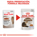 Royal Canin-Ageing +12 Pouch 85gr. (1)