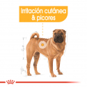 Royal Canin-Medium Dermacomfort Razas Medianas (1)