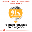Royal Canin-Medium Dermacomfort Razas Medianas (1)