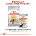 Royal Canin-Medium Dermacomfort Razas Medianas (1)