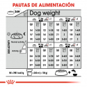 Royal Canin-Medium Dermacomfort Razas Medianas (1)
