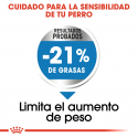 Royal Canin-Medium Light Razas Medianas (1)