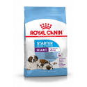 Royal Canin-Giant Starter Mother & Babydog (1)