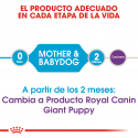 Royal Canin-Giant Starter Mother & Babydog (1)