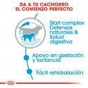 Royal Canin-Giant Starter Mother & Babydog (1)