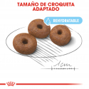 Royal Canin-Giant Starter Mother & Babydog (1)