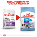 Royal Canin-Giant Starter Mother & Babydog (1)
