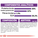 Royal Canin-Giant Starter Mother & Babydog (1)